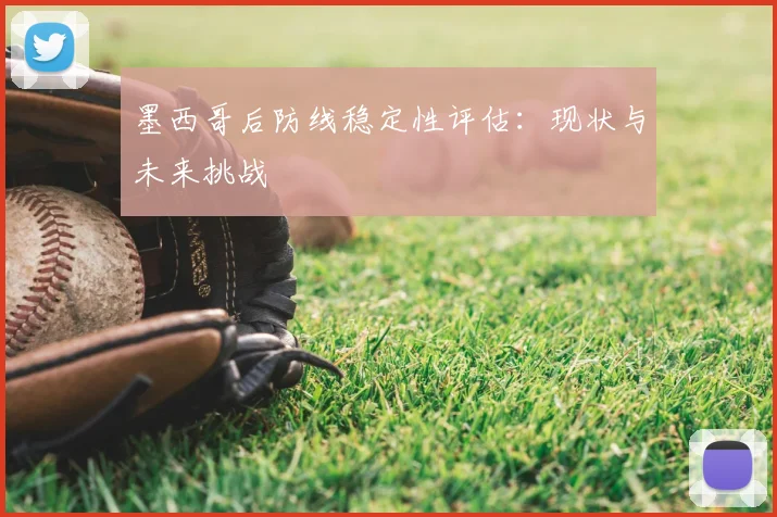 墨西哥后防线稳定性评估:现状与未来挑战